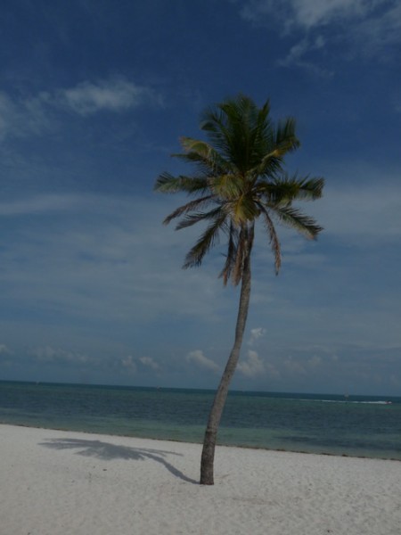 newyorketkeywest975.jpg
